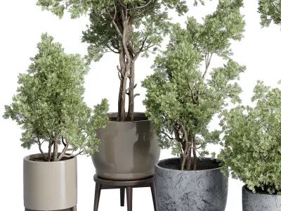 Trees in an old concrete vase outdoor plant set 148 Low-poly 3D model
