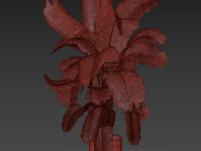 indoor plant 09 3D model