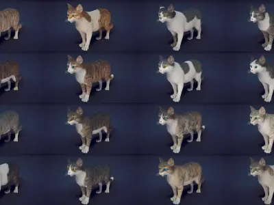 Cat Animset Pro Low-poly 3D model