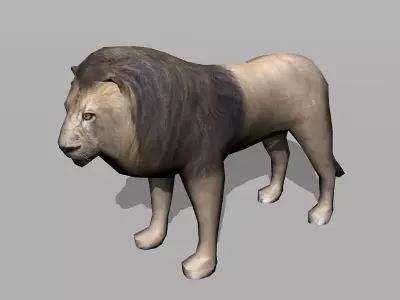 lion cat Low-poly 3D model