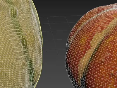 Gourds for Fall Decor 3D model