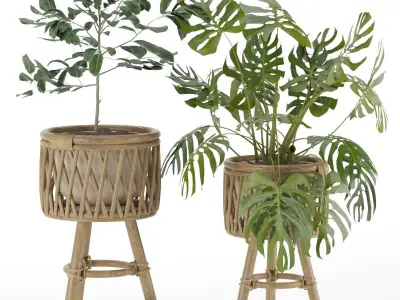 Plant-set-002 3D model