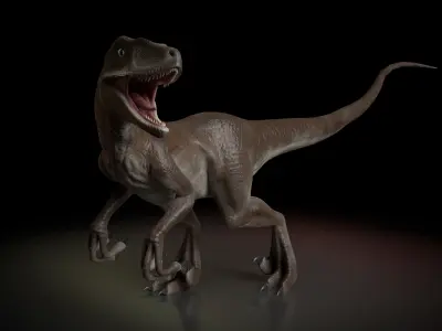 Velociraptor dinosaur Low-poly 3D model