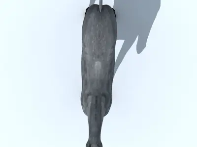 3D model Low poly 3D Horse Model For Games NEW Low-poly 3D model