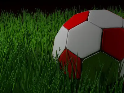 Soccer Ball Free 3D model 10