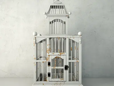 White Decorative Cage by ZARA HOME 3D model