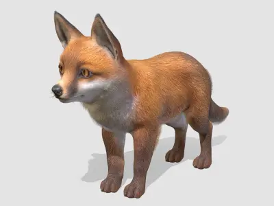 Fox - Cub Low-poly 3D model