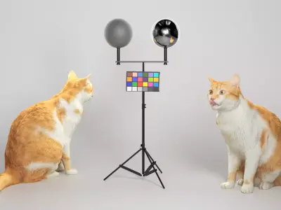 Red cat  21 Low-poly 3D model