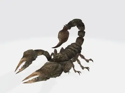 Stringer scorpion 3D model