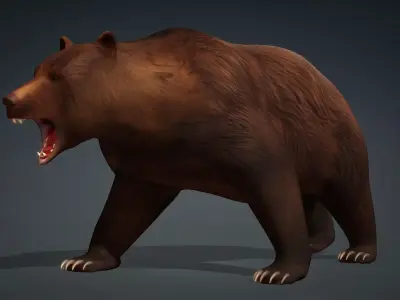 Brown Bear 3D model buy