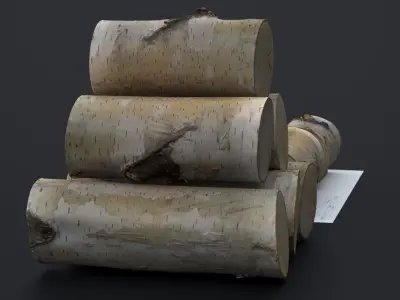 WINTER WOOD LOG 2024 3D model