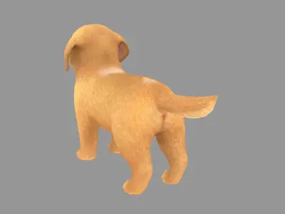 Cartoon pet puppy - Golden - baby dog Low-poly 3D model