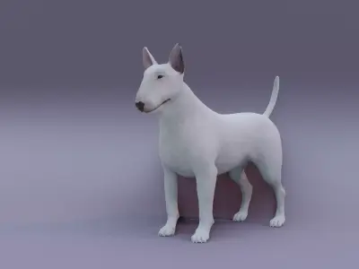 BullTerrier bull terrier 3D model