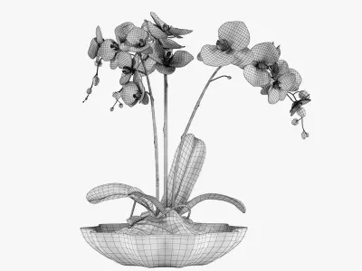 Pot Plant 24 3D model