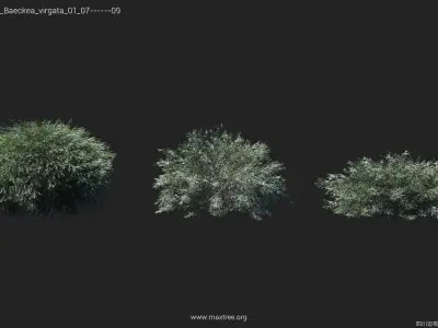 Maxtree Plant Models Vol 44 Low - Mesh 3D model