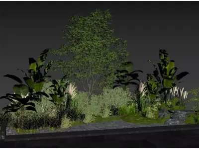  Indoor Plant Landscaping 3D model