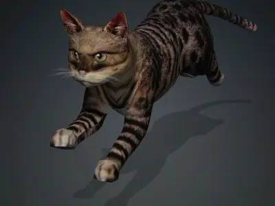 Animated Low poly Cat Low-poly 3D model