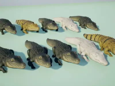Crocodile stylized Low-poly 3D model