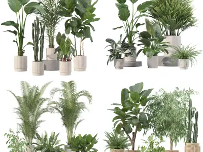 20 Photorealistic Flowers for Interiors - set 201 207 213 219 3D Model Collection