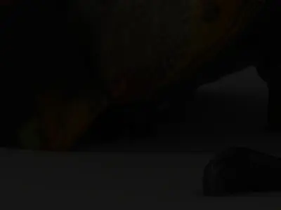 Colorful Beetle Insect Model Pack for D Rendering and Games Low-poly 3D model