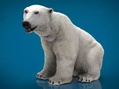 POLAR BEAR FEMALE  Low-poly 3D model