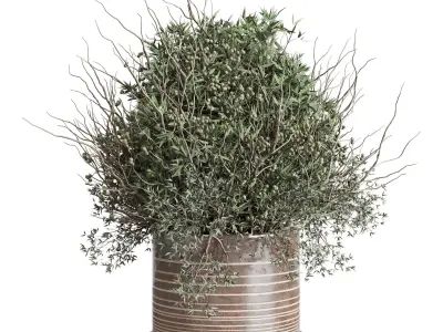 Olive branch in an old earthenware vase Buoquet 33  Low-poly 3D model