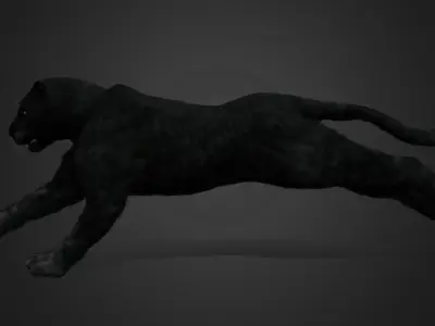 Panther Realistic Animated 3D model