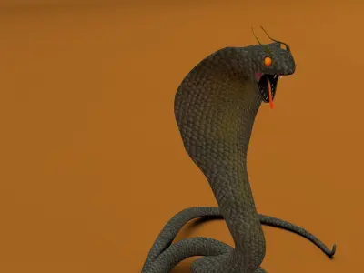 Cobra snake 3D model purchase