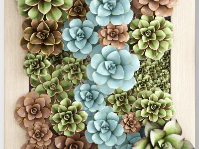 Echeveria Vertical garden 3D model
