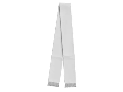Football Fan Scarf 03 3D model