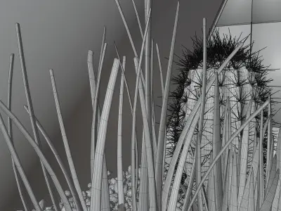 Cactus in a glass vase HG2 3D model