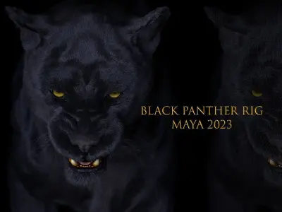 Black Panther RIG Xgen core 3D model