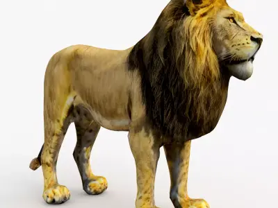Lion Cartoon Low-poly 3D model buy