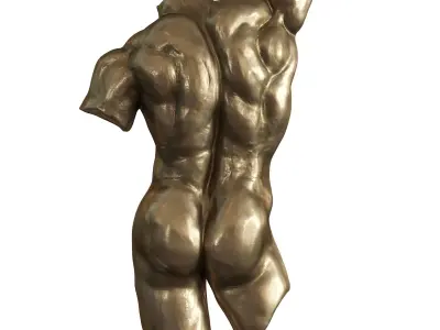 Nude Torso Wall Sculptures 3D model