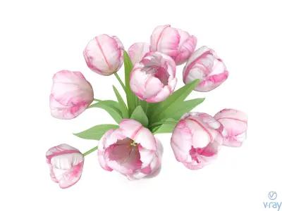 Pink Tulips 3D model