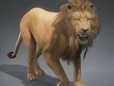 Lion 3D 3D model