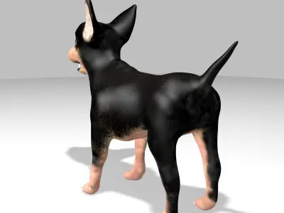 Chihuahua Dog Low-poly 3D model
