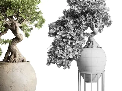 Bonsai tree in an old earthenware vase indoor plant 343 Low-poly 3D model