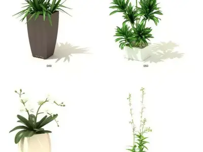 indoor plant models 3D model