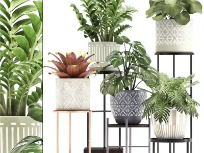 Collection of Exotic plants 3D model