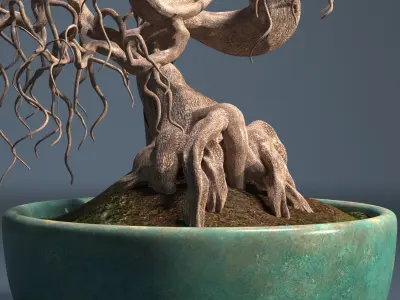 Bonsai tree in pot 3D model