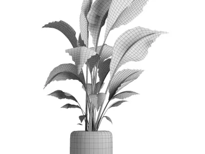 indoor plant 051 3D model