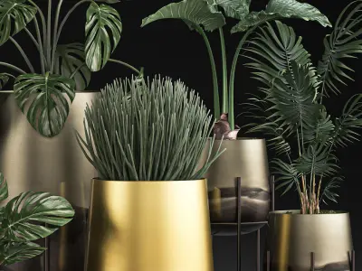 Decorative plants in Luxury Gold Pots for the interior 544 3D model