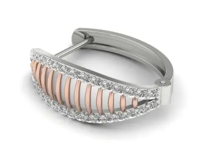 Jewelry Earrings Women 3D print model