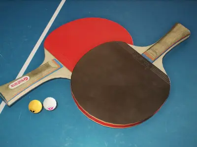 Ping Pong Paddle and Ball Low-poly 3D model