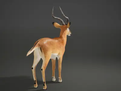 Impala Rig UNREAL project  Maya base rig 3D model