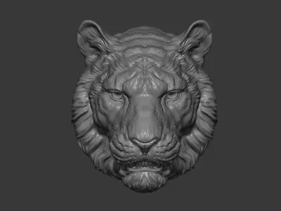 Tiger toothy 3D print model