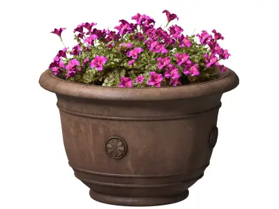 Flowers Garden Plant Flowerpot Patio KINSEY GARDEN DECOR 3D model
