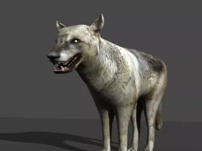 GREY WOLF Low-poly 3D model