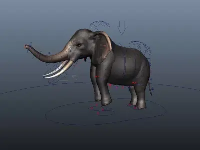 Asian Elephant Rig Low-poly 3D model